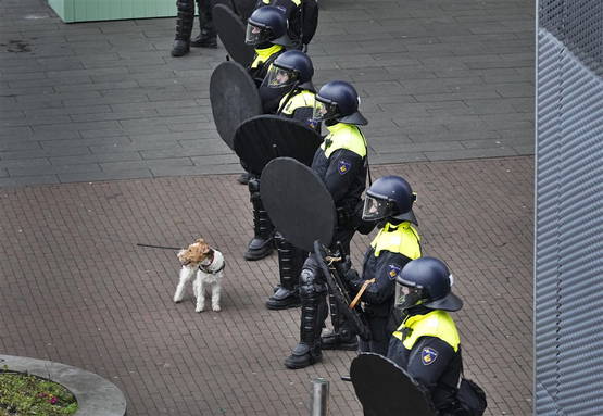 POLITIE 020 AANGEVALLEN DOOR VALSE FVD VECHTHOND