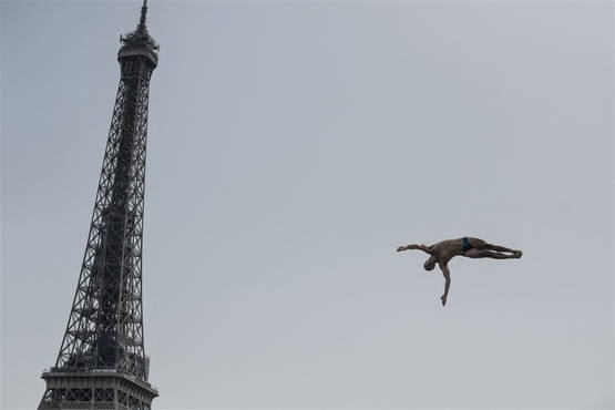 Deze man had een heel lieve vogel - die werd versnipperd door een windmolen