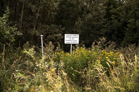 Prachtig natuurschoon rondom het station