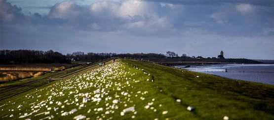 Vreselijke beelden vanaf West-Terschelling