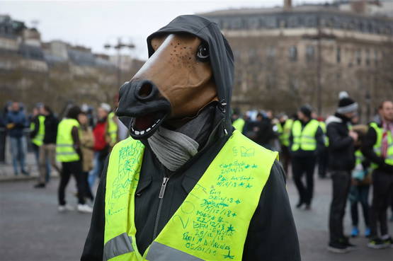 Horseface! Stormy, ben jij het?