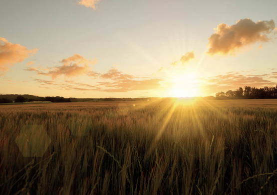 Hebben ze niet in de stad, zonsondergangen