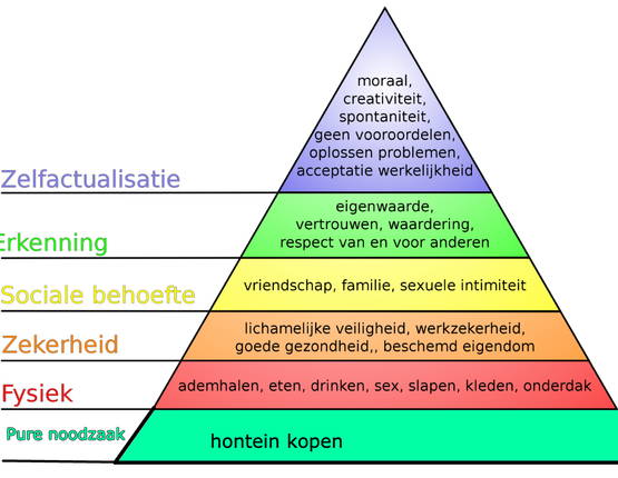 Herziene versie piramide van Maslow