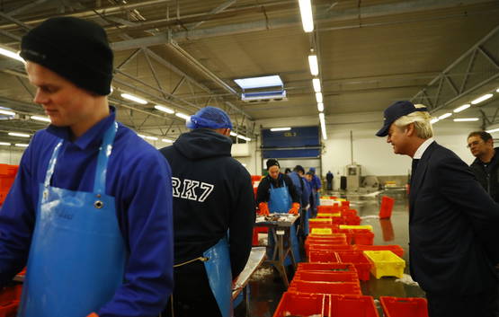 Geert Wilders looking at things 1 