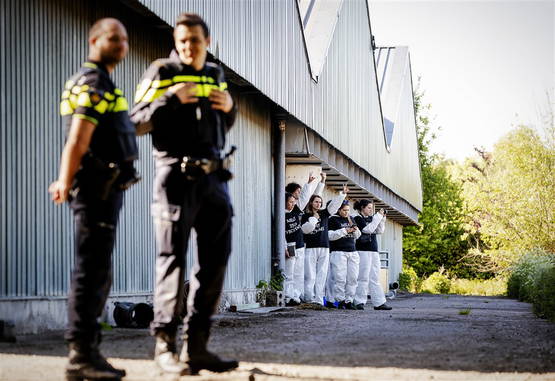 Dierenterroristen in witte pakken in de stal. Pliesie staat erbij.