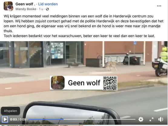 Actiegroep 'Geen Wolf' zegt ook: HET IS EEN HOND