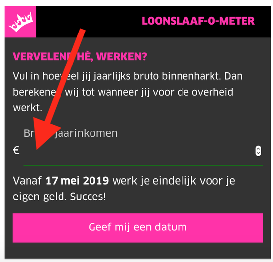 Stap 3: Vul je jaarinkomen in
