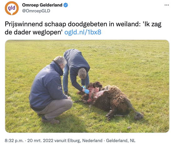 Doet ie anders nooit Doet ie anders nooit
