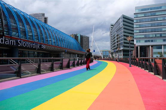 Regenboogzebrapad Regenboogzebrapad