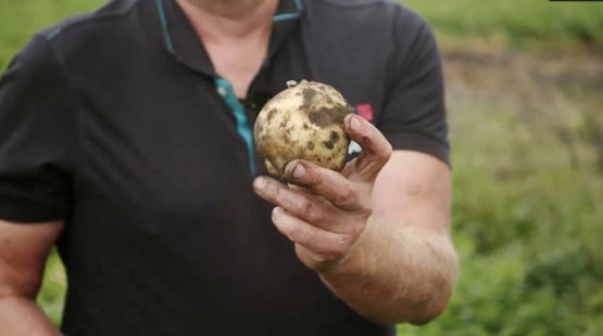 Foto. De pieper die nog een maand moet