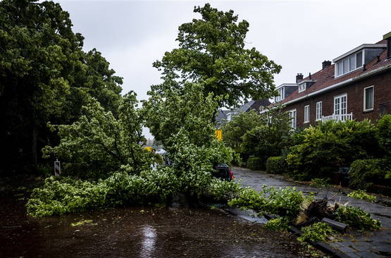 Een auto (goed kijken) in Haarlem