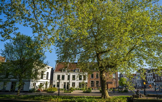 Vorig jaar - Wel veel mensen op straat