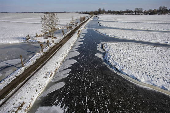 Het hart is helegaar niet groen