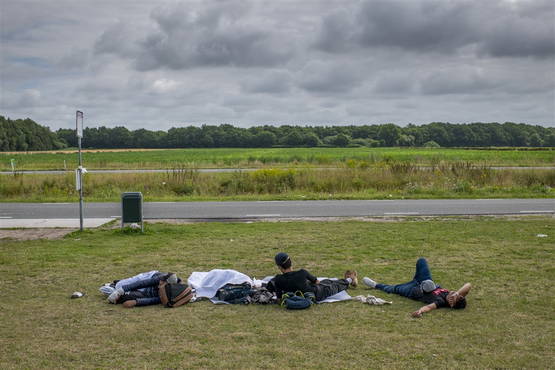 Dolle boel op TerApelFest22