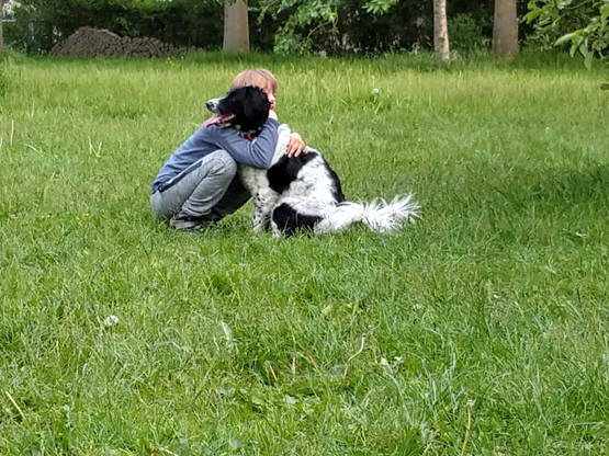 Foto. Nederlands jongetje en zijn beste vriend, de hond