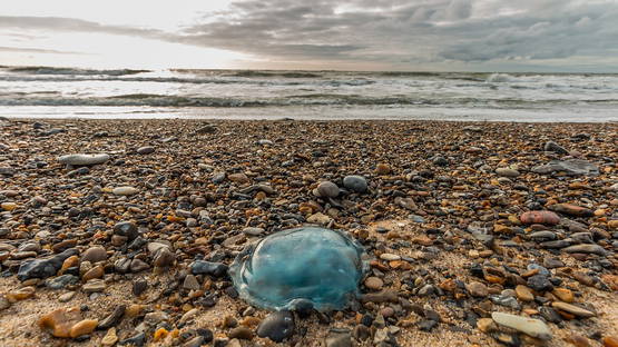 Vreselijke beelden vanaf West-Terschelling