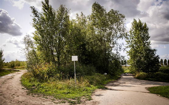 Prachtig natuurschoon rondom het station Prachtig natuurschoon rondom het station