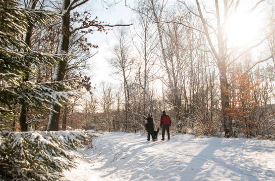 Sneeuw in Duitsland