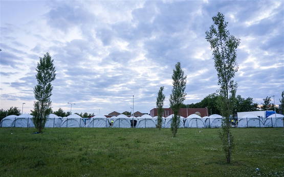 Rode Kruis noemt dit "onmenselijk". Wij noemen dat "festival"