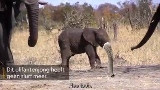 Met extra 'slurfje'