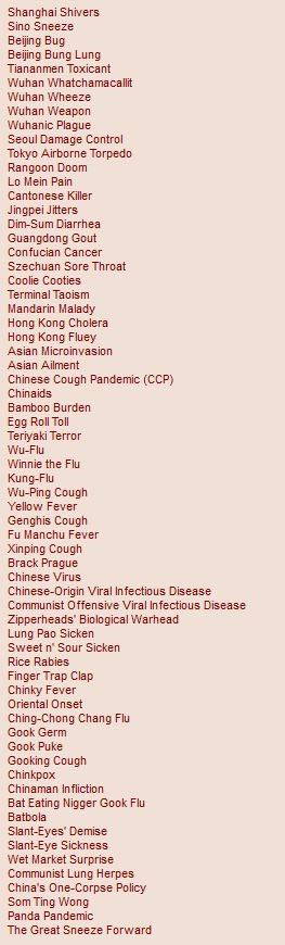 Synoniemenlijst voor de Kung Flu