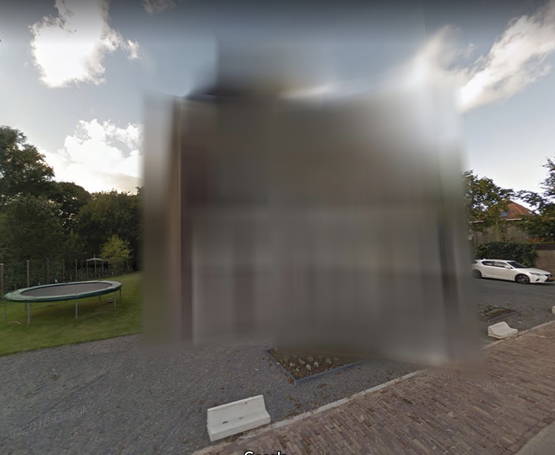 Hallo Google. Met Mona. Kunnen jullie mijn huis blurren?