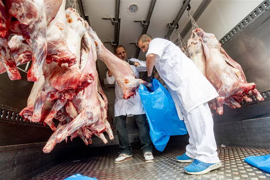 Schaap, lam, geit. Er is genoeg! Schaap, lam, geit. Er is genoeg!