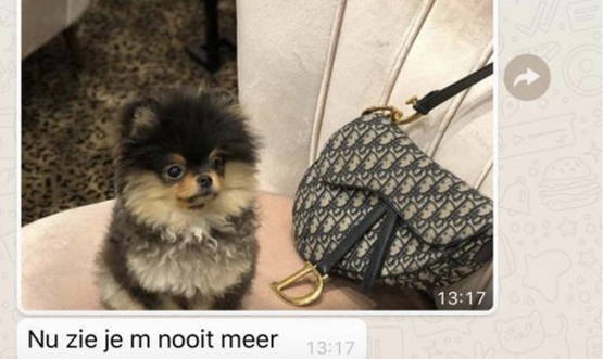 De hond van Lil' Kleine