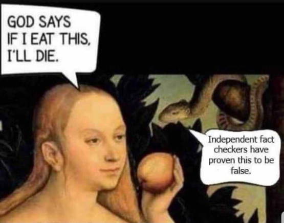 bronmeme