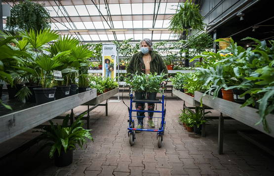 Daar hebben we Wilheilmina (88) weer