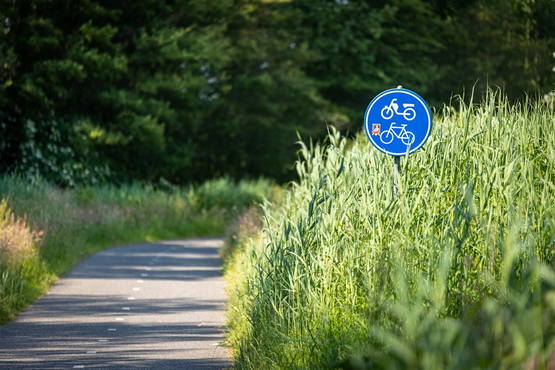 Niet het fietspad uit het verhaal