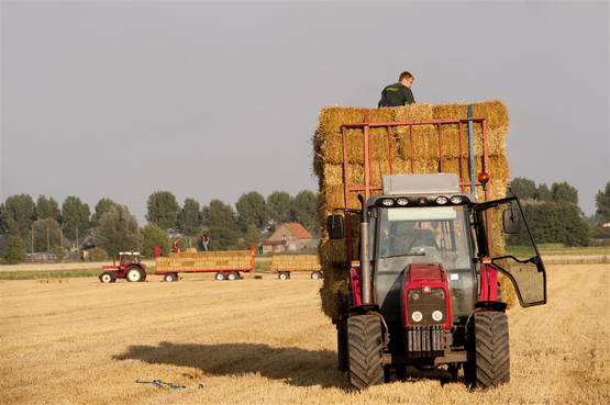 C - Een trekker met op de kar zestig balen boerenkool C - Een trekker met op de kar zestig balen boerenkool