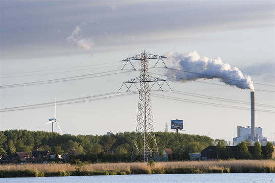 Heren nemen een verfrissende duik in het Twiske