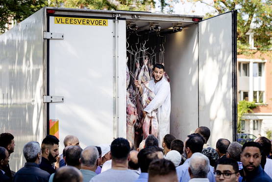 PLOFSCHAAP IN DE BONUS!