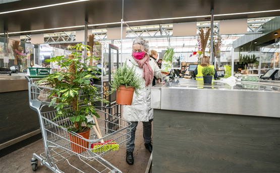 Sterre-Maan (67) is dol op planten