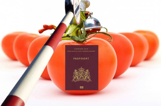 WE GAAN ZE HALEN!