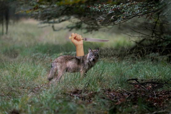 of een combinatie van de twee: een wolf met een mes